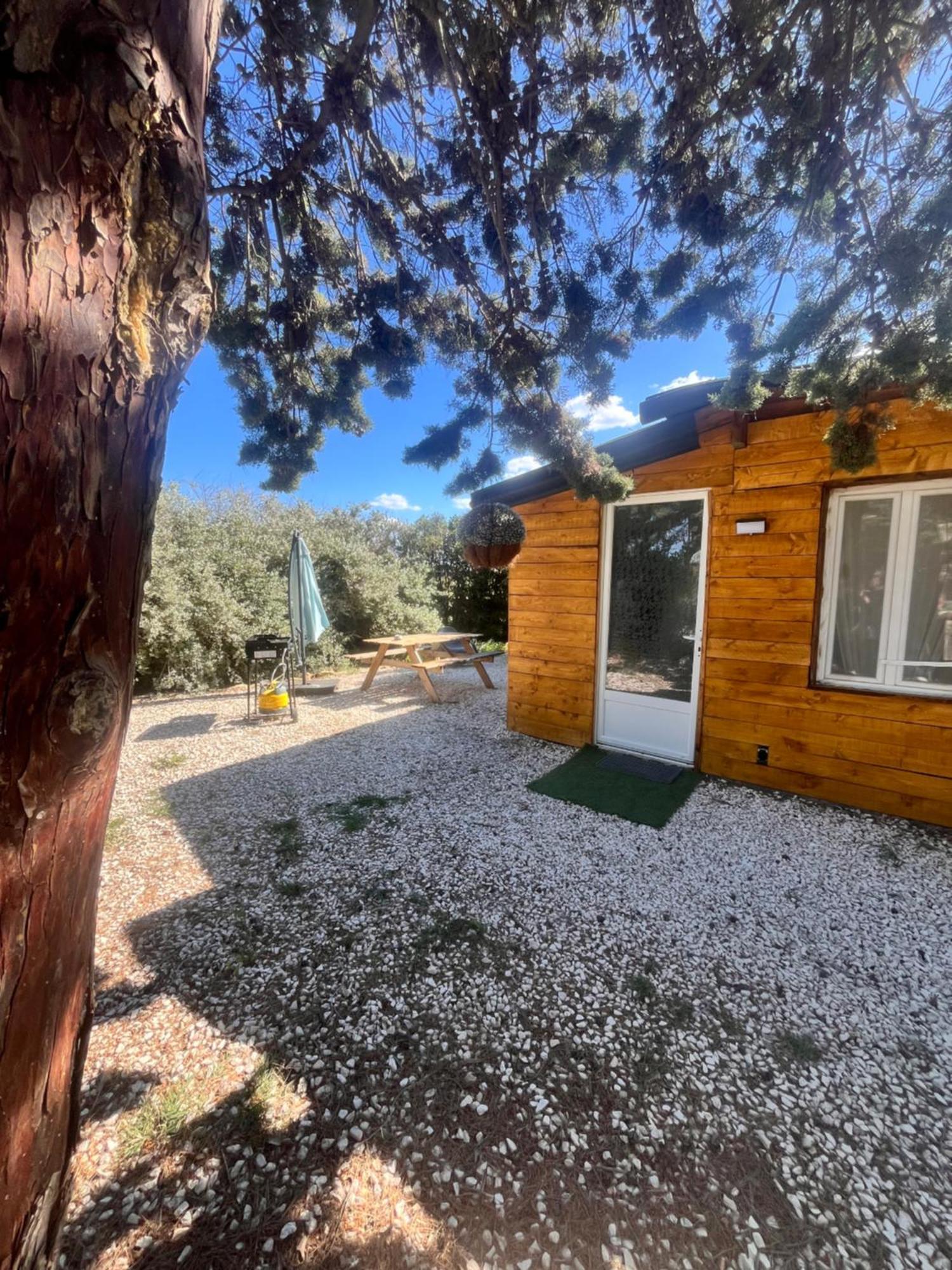 فيلا Location T3 Jardin Avec Piscine Mèze المظهر الخارجي الصورة